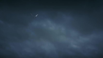 Dragon, les aventuriers du royaume de Dramis - 12 novembre