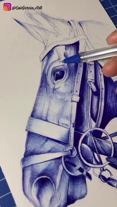 DIBUJANDO CABALLO CON BOLÍGRAFO