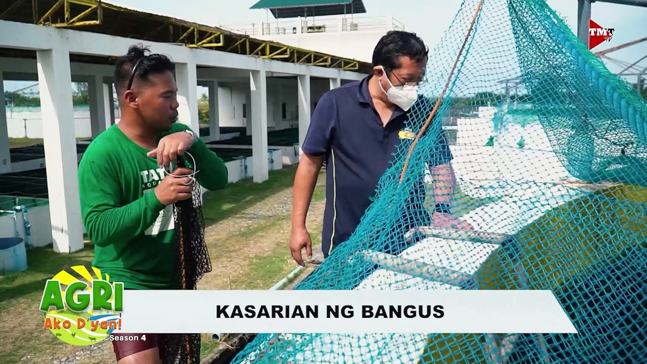 Bangus and Seabass