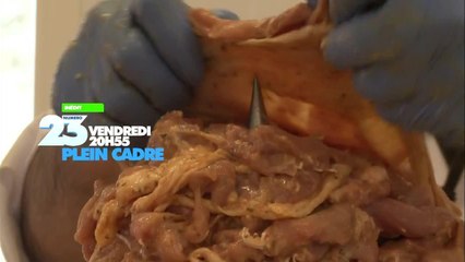 Plein cadre - 2 décembre