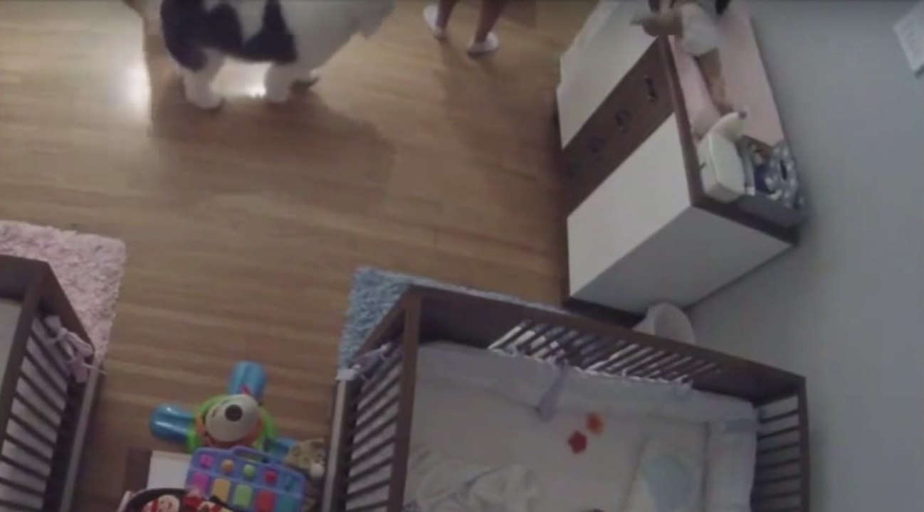 L'incroyable réflexe d'un enfant de 9 ans qui sauve son frère de 11 mois