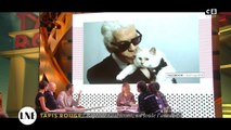 LNE : Baptiste Giabiconi raconte comment Karl Lagerfeld lui a piqué son chat Choupette