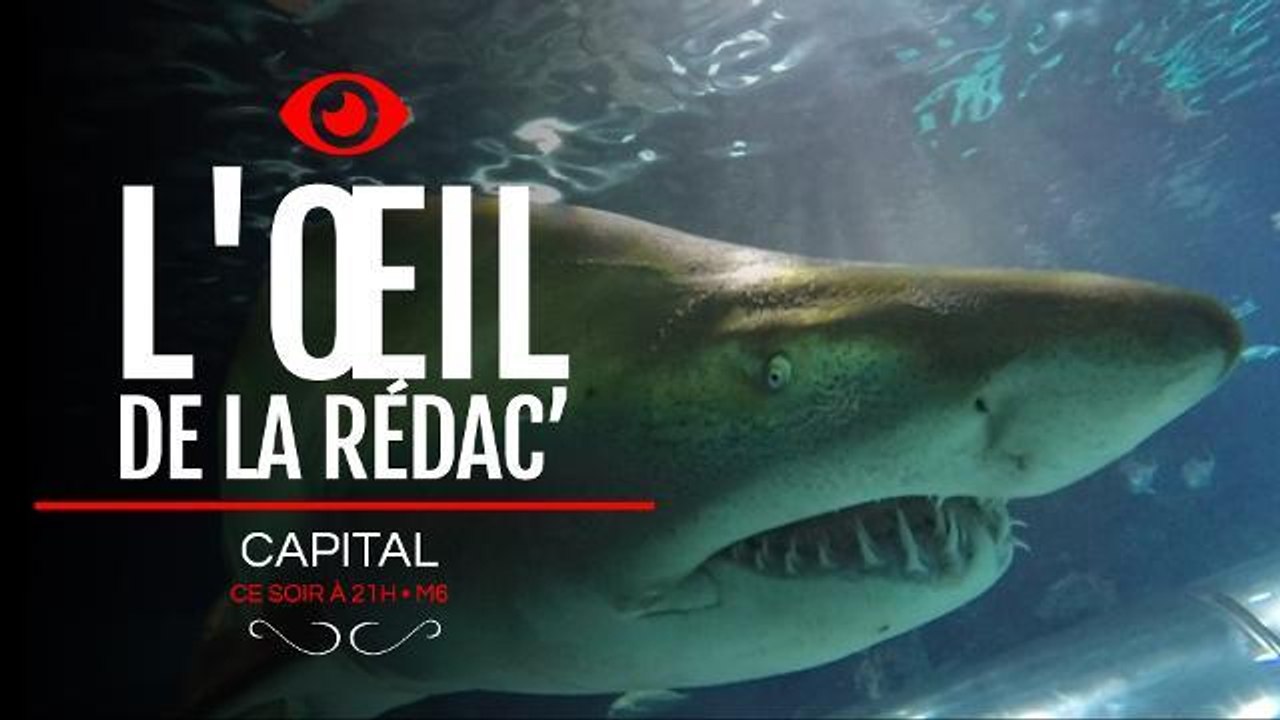 L'œil de la rédac' : Que vaut ce numéro de Capital sur le business des sensations fortes ?