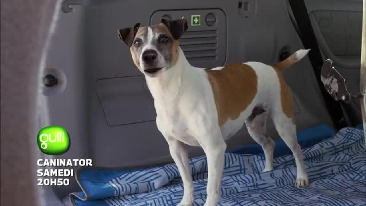 Caninator, chien robot - 17 septembre