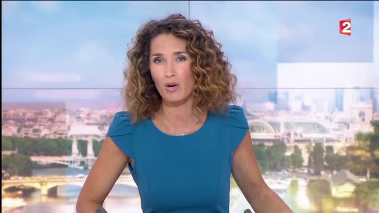 Marie-Sophie Lacarrau présente les excuses de France 2 après le gros bug au 20 heures