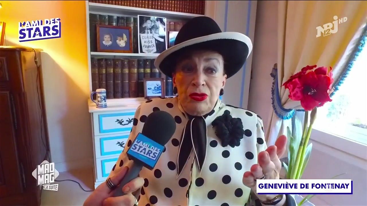 Mad Mad - Geneviève de Fontenay clashe Valérie Bègue, Arthur et Mareva Galanter