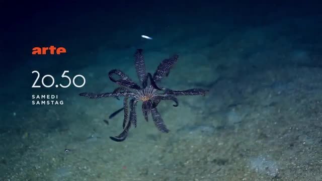 Bande-annonce - Papouasie, expédition au coeur d'un monde perdu (Arte) Samedi 25 juin à 20h50