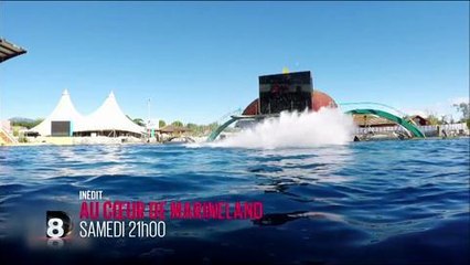 Bande-annonce - Au coeur de Marineland (D8) - samedi 23 avril