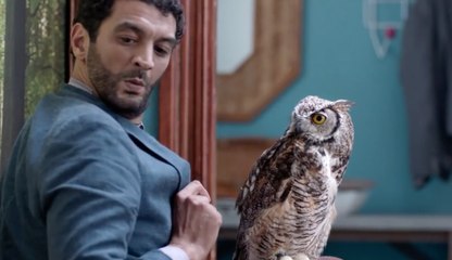 HIBOU : Bande Annonce du film de Ramzy Bedia