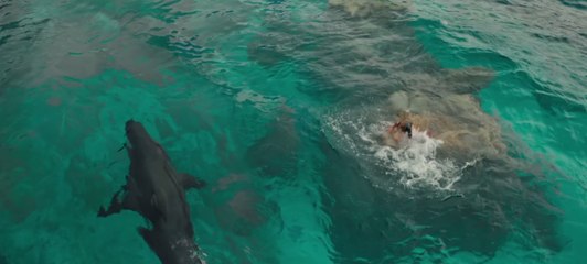 Instinct de survie (The Shallows) : Blake Lively vs un requin dans la première bande-annonce flippante (VOST)