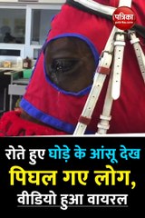 बेतहाशा रोते घोड़े की आंखों से आसुंओं का सैलाब देखकर लोग इमोशनल हो गए हैं।