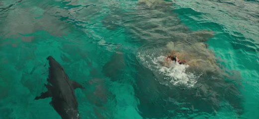 Instinct de survie : Blake Lively en face à face avec un grand requin blanc dans un premier teaser stressant (VF)