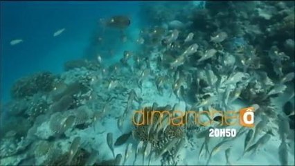 Bande-annonce - Passion Outremer (France Ô) Dimanche 6 mars