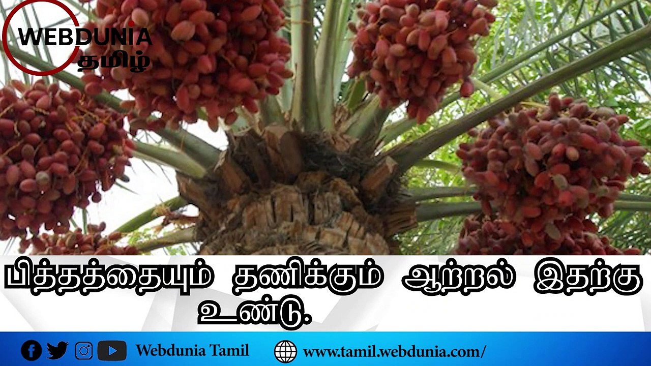 பேரிச்சம்பழத்தின் நன்மைகள்!!
