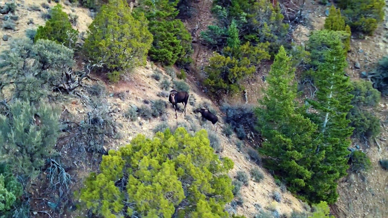 Aerial Video Ranch Tour | Ruby Reservoir Overlook | Alder, Montana