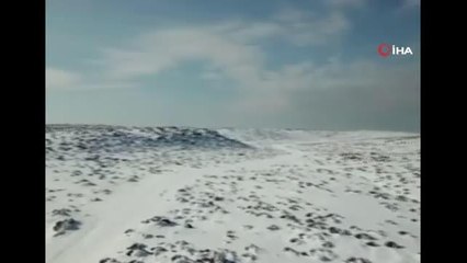 Aç kalan yaban hayvanları için yem bırakıldı