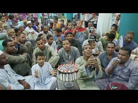 بالتورتة شباب الأقصر يحتفلون بمولد النبي