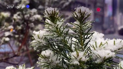 طوكيو تشهد أول تساقط للثلوج في 2022