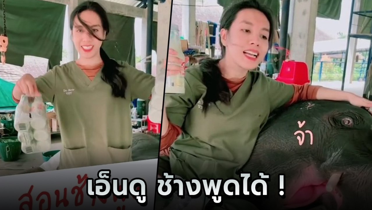เอ็นดู คุณหมอสอนช้างพูด ใช้ของกินมาล่อ พูดจ้า เ...