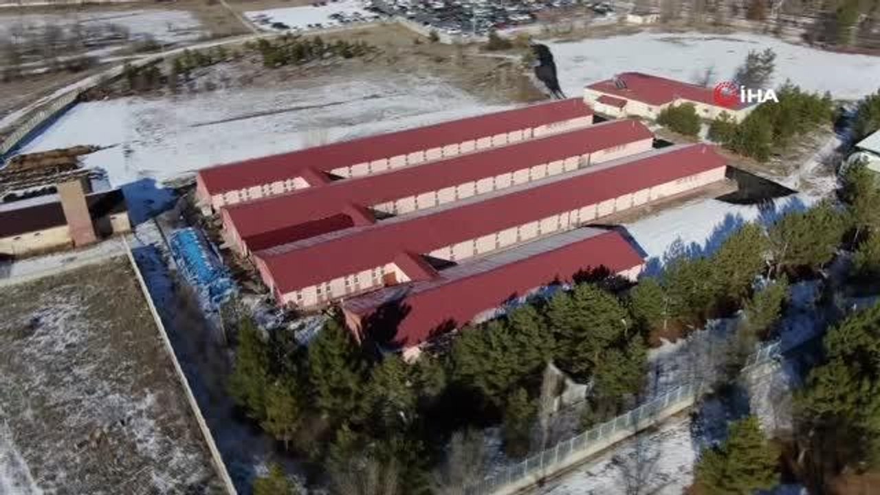 Solucan gübresi rekolte ve kaliteyi yüzde 60 artırdı