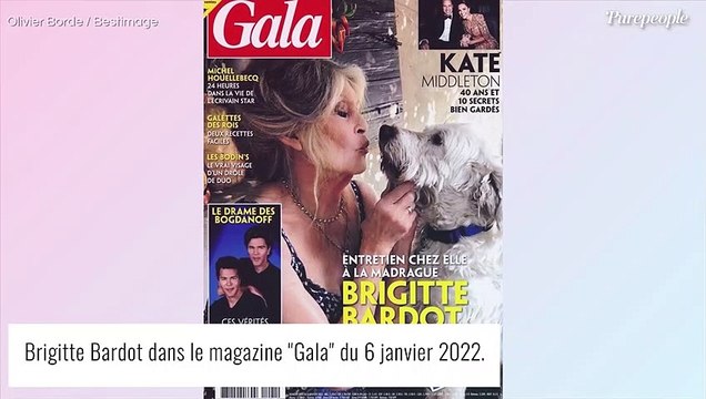Brigitte Bardot coupée de tout contact avec ses ex, Jean-Louis Trintignant et Sami Frey : elle explique