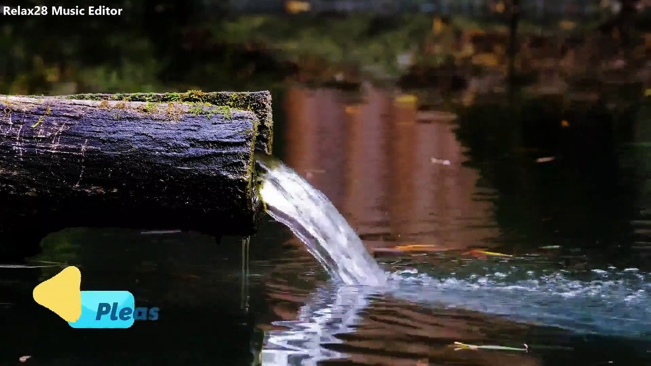 Fountain Tree Trunk Water Fountain Sleep Music, Water Sounds, Relaxing Music, Meditation Music