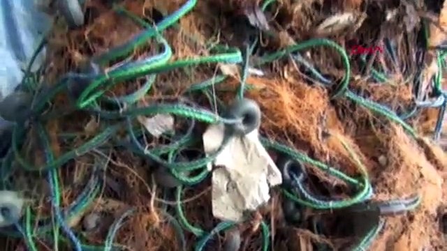 Karadeniz'de kırmızı alarm! Balık ağları balık yerine çöp doldu