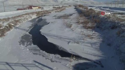 Soğuk havanın etkili olduğu Erzurum'da yiyecek arayan kurt ayakta dondu