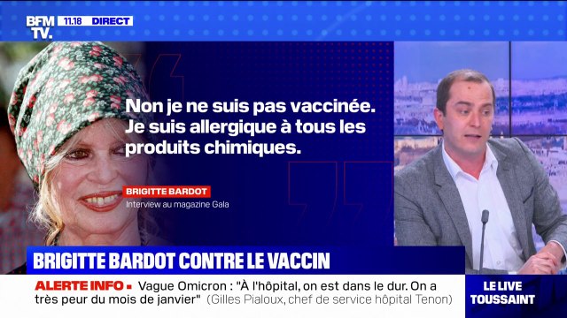 Allergique à tous les produits chimiques , Brigitte Bardot, 87 ans, ne veut pas se faire vacciner