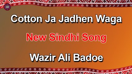 Cotton Ja Jadhen Waga | Wazir Ali Badoe | New Song | Sindhi Gaana