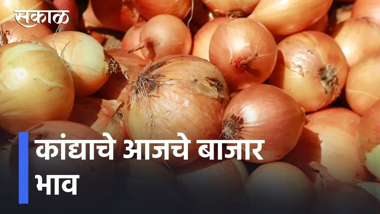 देशातील प्रमुख बाजारांमधील कांद्याचे आजचे बाजार भाव काय आहेत, जाणून घ्या l Onion Rate Today l Sakal