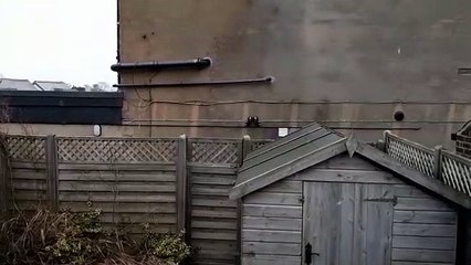 Snow starts to fall in Ecclesall in Sheffield