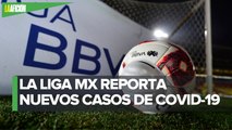 ¡Futbol de estufa de la Liga MX! Altas, bajas y rumores de cara al Clausura 2022