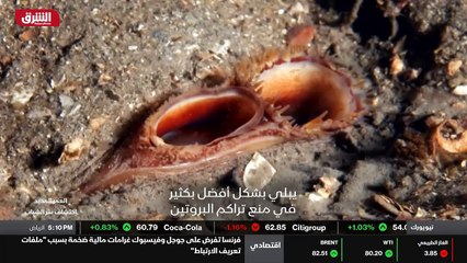 ...اختلف الأمر الآن . يبدو هذا رائعا . كيف ...