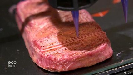 Meat substitute: Vegan steak from a 3D printer