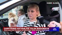 Trafik sigortasında veteriner detayı! Sigorta araçların çarptığı hayvanların masraflarını karşılıyor