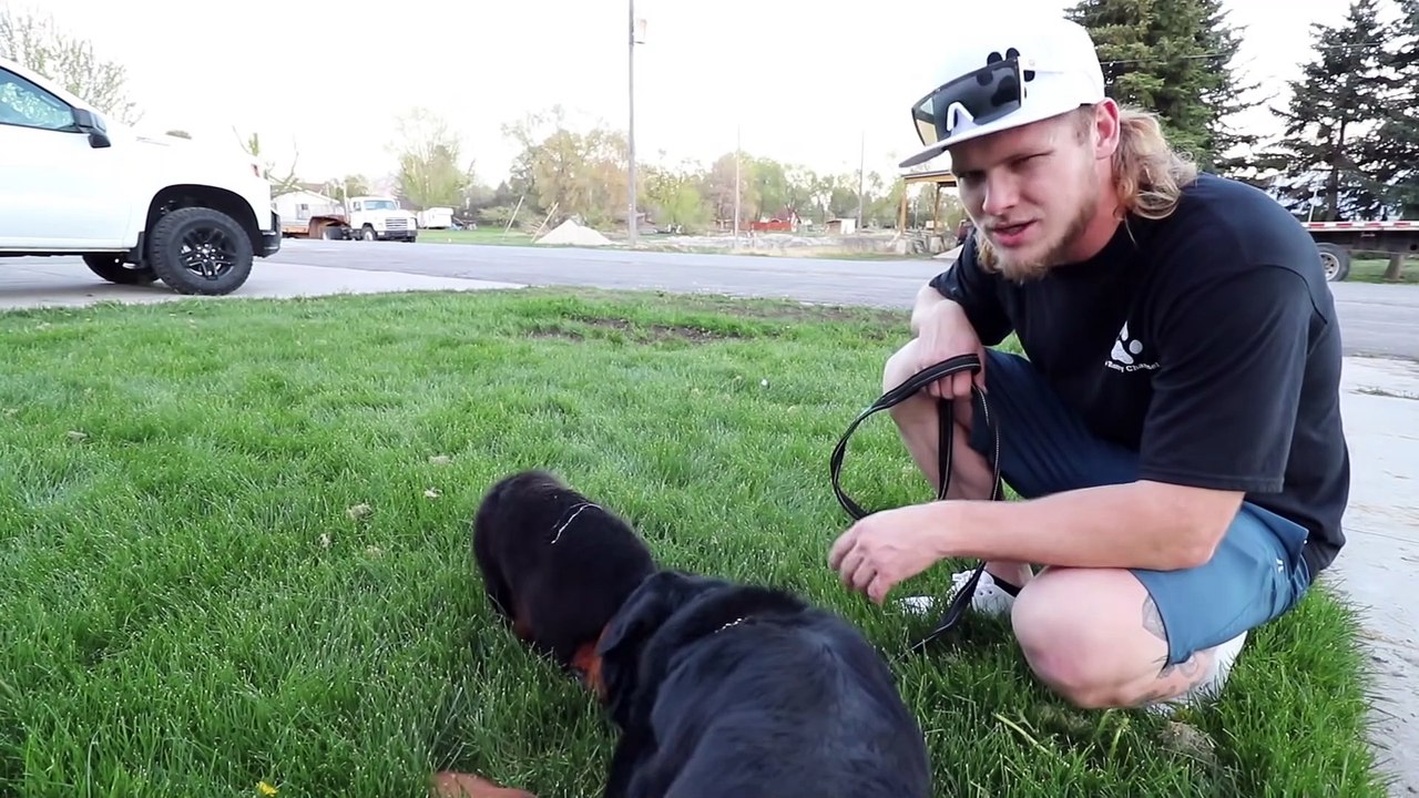 Small Puppy Meets His Dad