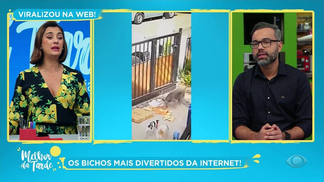 Animais inteligentes e crianças espertas, uma combinação perfeita. Confira!