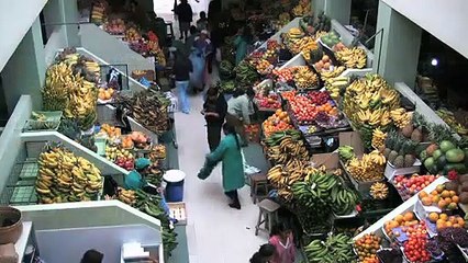 Consejos para disfrutar de un viaje con poco dinero