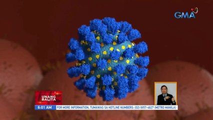 DOH: 29 na bagong kaso ng Omicron, na-detect sa bansa | UB