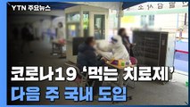 '먹는 치료제' 다음 주 국내 도입...신규 확진 3,717명 / YTN