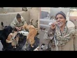 تربي يعيش 50 عاما بين المقابر والحيوانات:خليت الكلاب والقطط اخوات