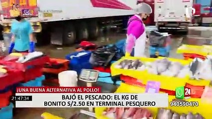 VMT: Conozca el precio del pescado en el terminal pesquero del distrito