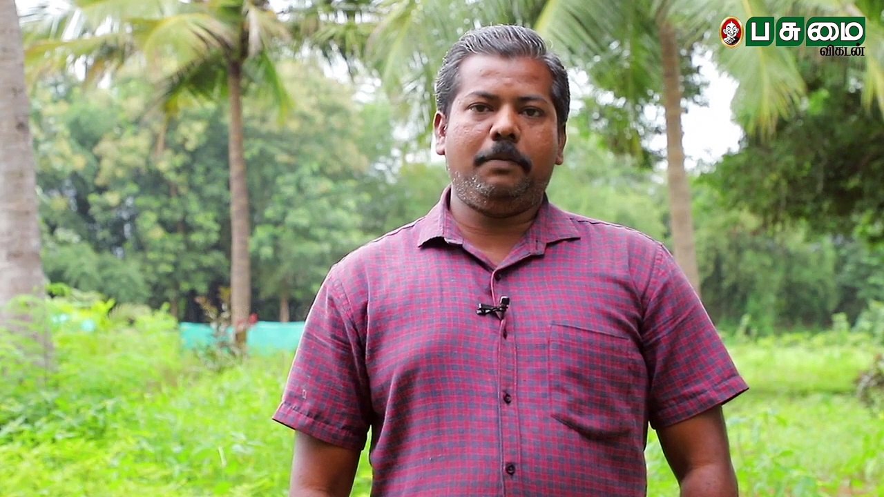 ஜப்பான் காடை,  நாட்டுக்கோழி வளர்பு...  பிலிப்ஸ் முன்னேறியது எப்படி? | Pasumai Vikatan