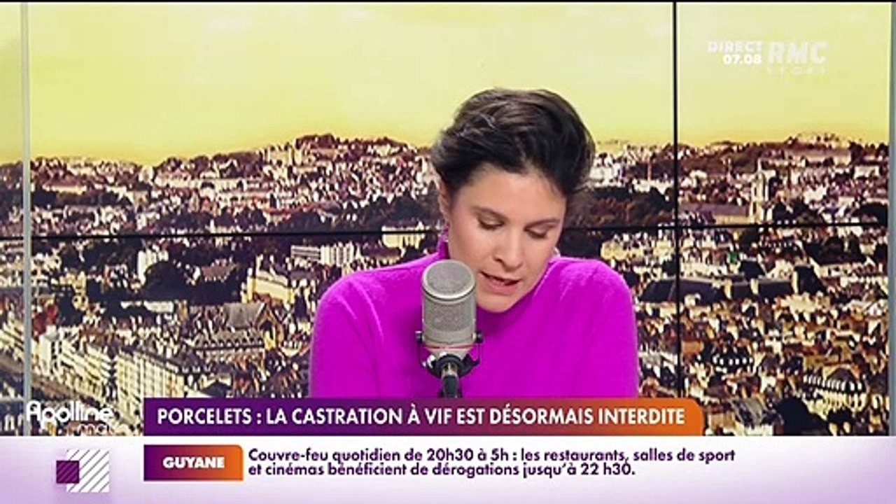 RMC chez vous : Porcelets, la castration à vif est désormais interdite - 07/01