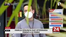 Surco: familia pide ayuda para encontrar a su perro perdido por veterinaria