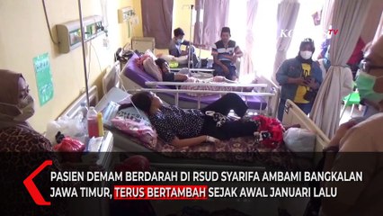 Waspada DBD Pasien Melonjak di Rumah Sakit