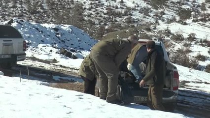 Yaban hayvanları için doğaya yem bırakıldı