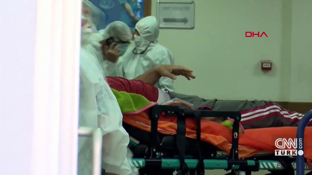 Domuz gribi ve diğer enfeksiyonlarda artış yaşandı