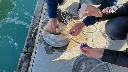 Müsilaj, artık Mersin kent merkezinde